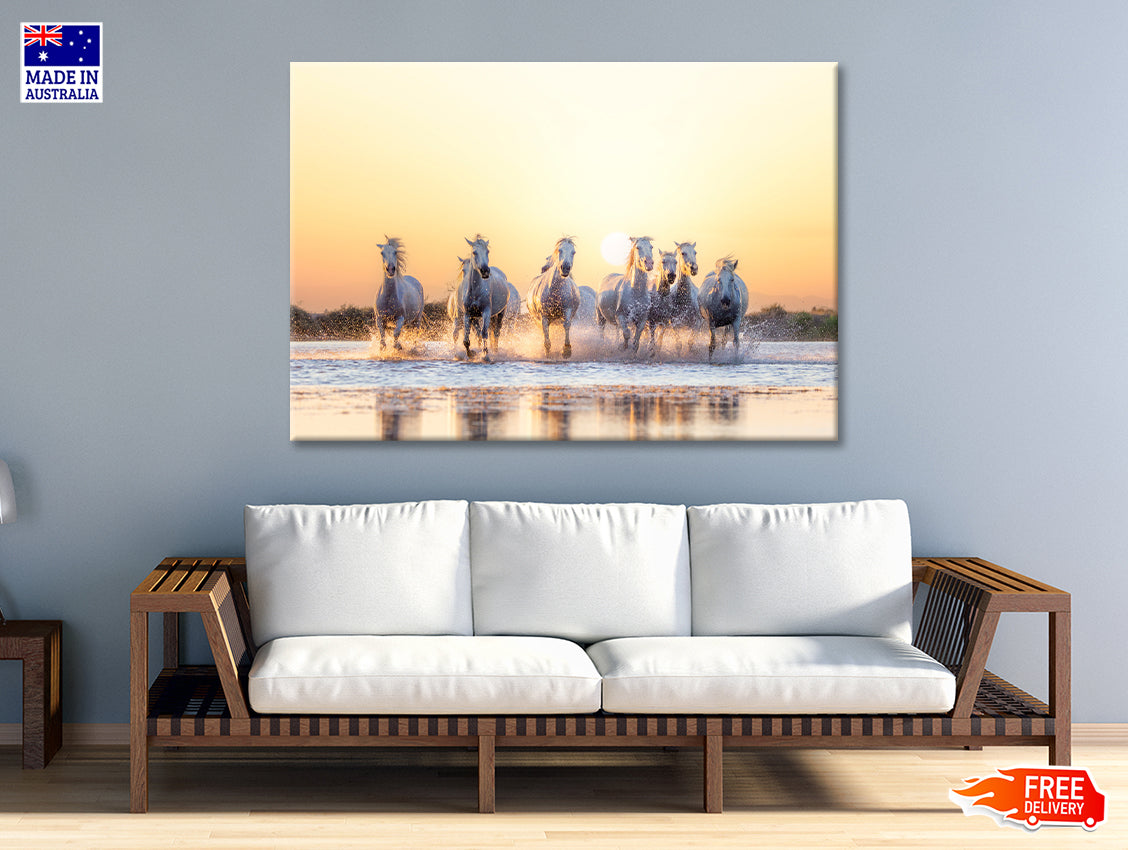 Herd Of Horses Running on Water Print 100% Australian Made