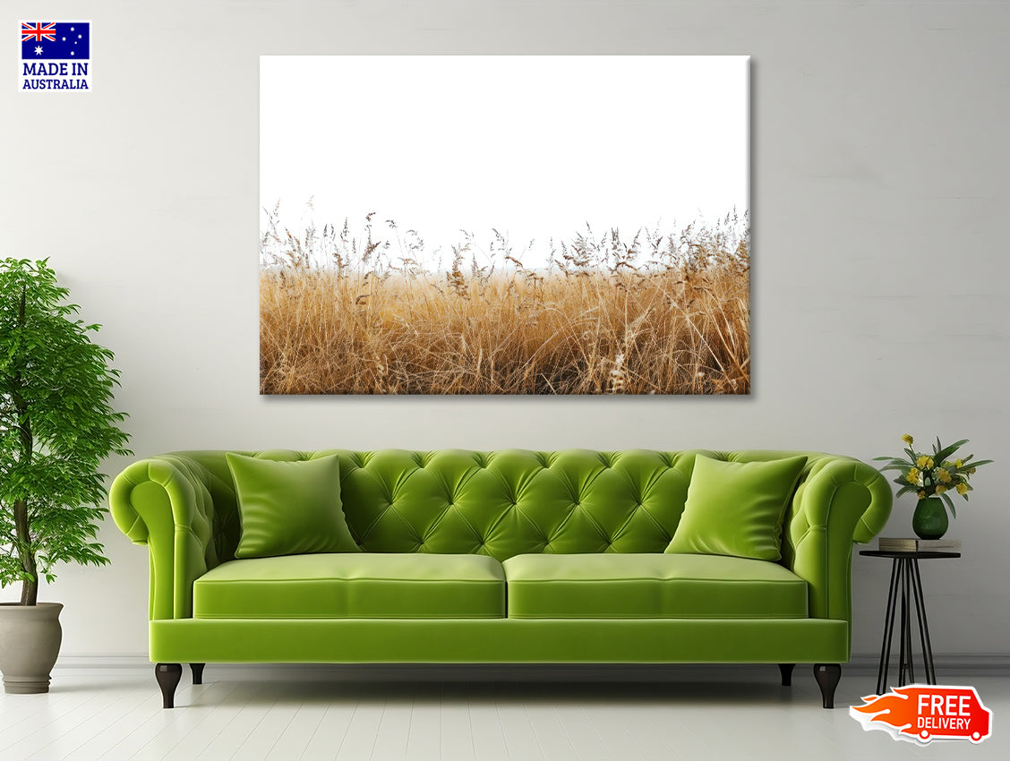 A Field Of Tall Grass under a Sky in winter Print 100% Australian Made