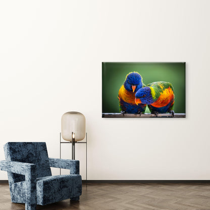 Iconic Pair Native Rainbow Lorikeet Parrot Wildlife Species Australia Wall Art Decor 100% Australian Made
