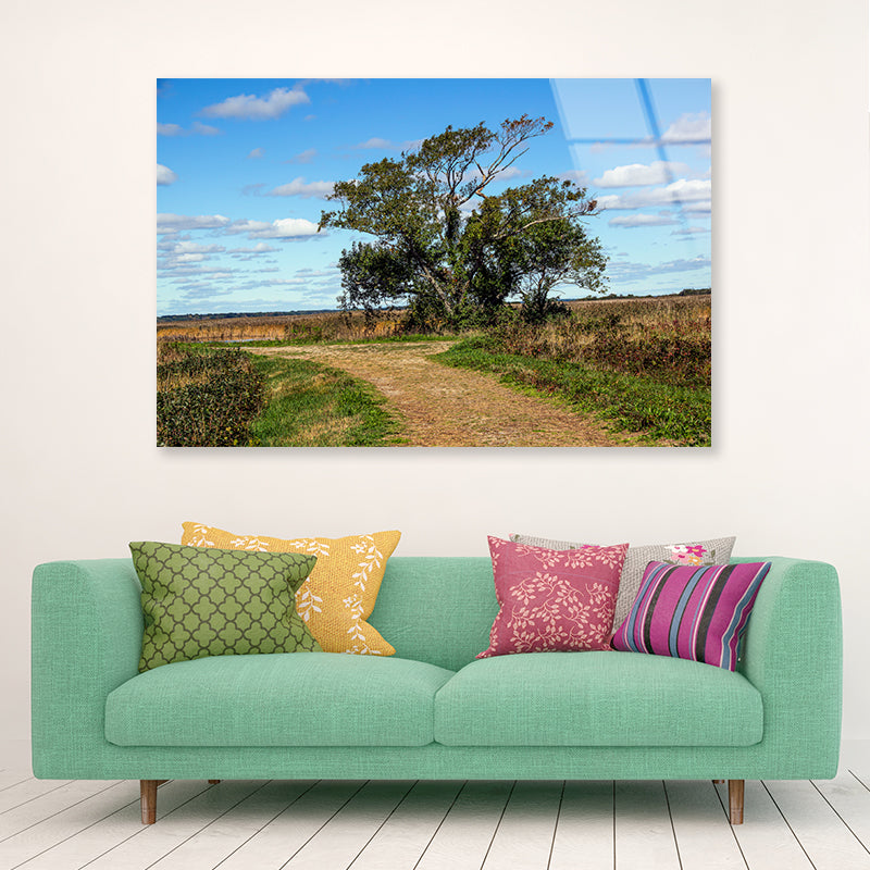 A Tree in the Vast Of Parker River Acrylic Glass Print Tempered Glass Wall Art 100% Made in Australia Ready to Hang