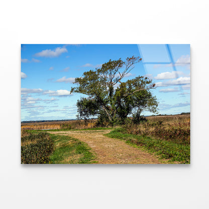 A Tree in the Vast Of Parker River Acrylic Glass Print Tempered Glass Wall Art 100% Made in Australia Ready to Hang