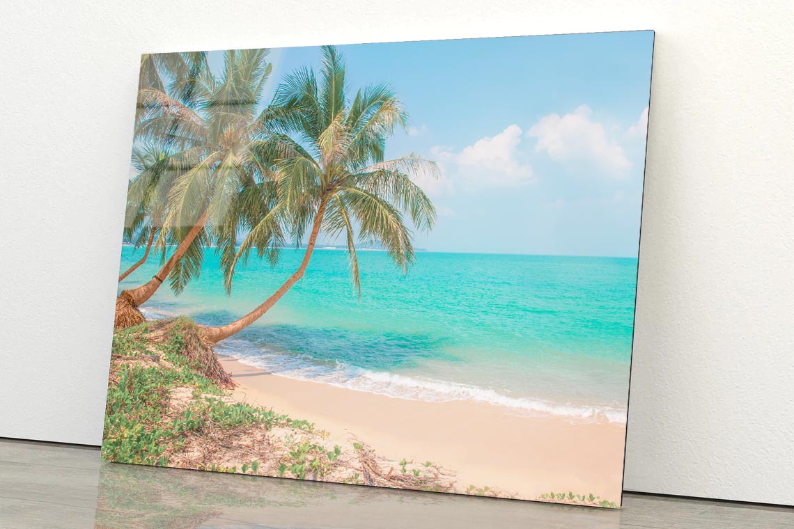 Tropical Beach with Coconut Palm Tree Acrylic Glass Print Tempered Glass Wall Art 100% Made in Australia Ready to Hang