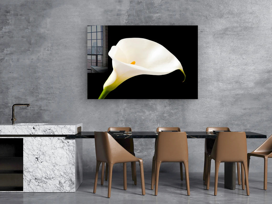 White Lily on Dark View UV Direct Aluminum Print Australian Made Quality