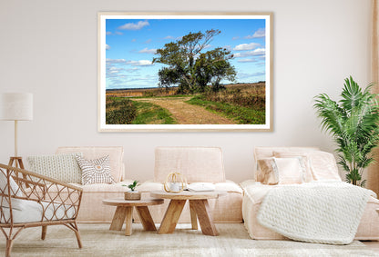 A Tree in the Vast Of Parker River Home Decor Premium Quality Poster Print Choose Your Sizes