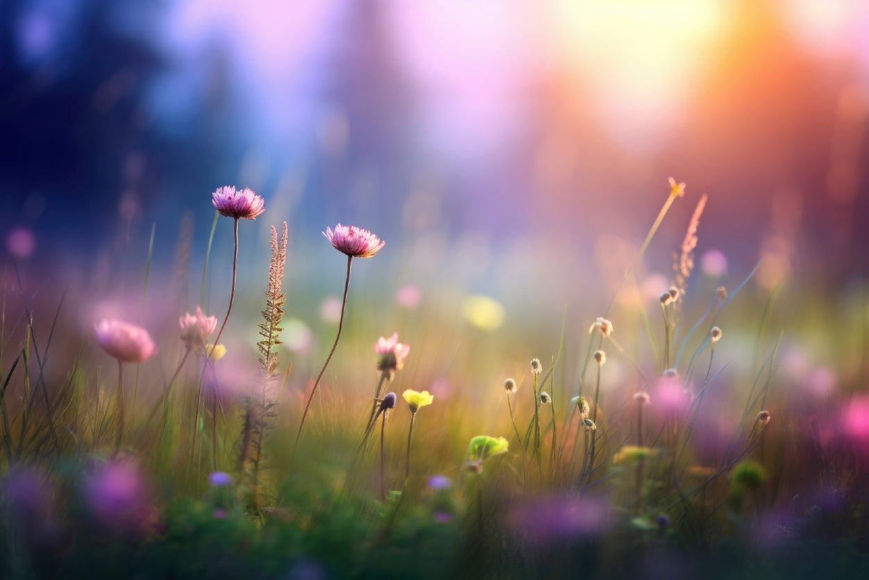 Blurred Meadow Background Grassland Home Decor Premium Quality Poster Print Choose Your Sizes - Bella Home Decor