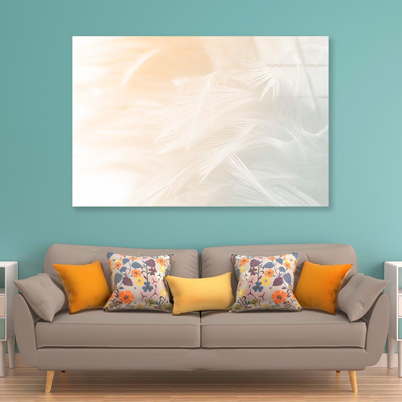 Beautiful White Feather Acrylic Glass Print Tempered Glass Wall Art 100% Made in Australia Ready to Hang