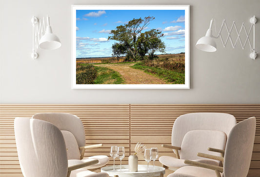 A Tree in the Vast Of Parker River Home Decor Premium Quality Poster Print Choose Your Sizes