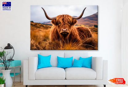 Highland Cow with Horns  Wall Art Decor 100% Australian Made - Bella Home Decor