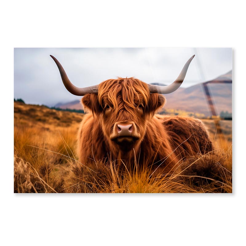 Highland Cow with Horns & Mountain View Acrylic Glass Print Tempered Glass Wall Art 100% Made in Australia Ready to Hang - Bella Home Decor