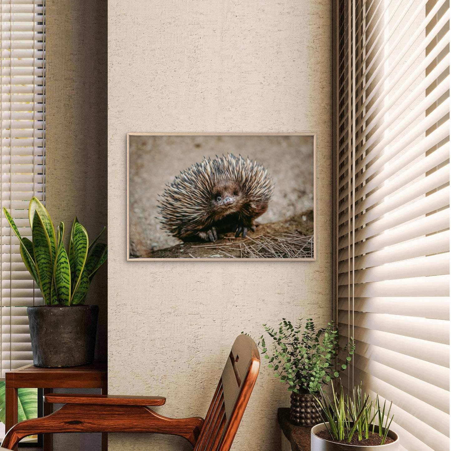 Echidna Australia Wild Bush Wall Art Decor 100% Australian Made