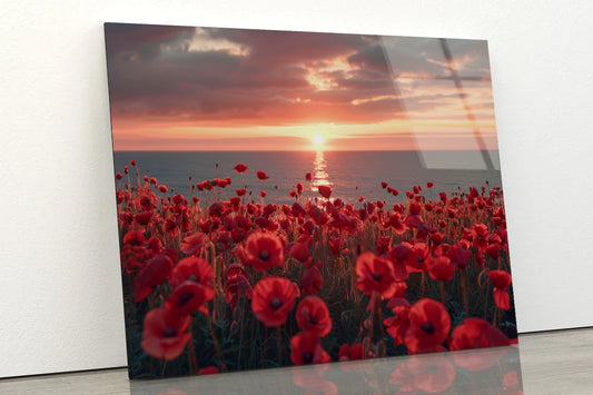 Stunning Sunset over a Sea Of Red Poppies Acrylic Glass Print Tempered Glass Wall Art 100% Made in Australia Ready to Hang