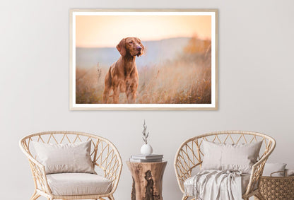 Hungarian Hound Pointer Vizsla Dog Home Decor Premium Quality Poster Print Choose Your Sizes