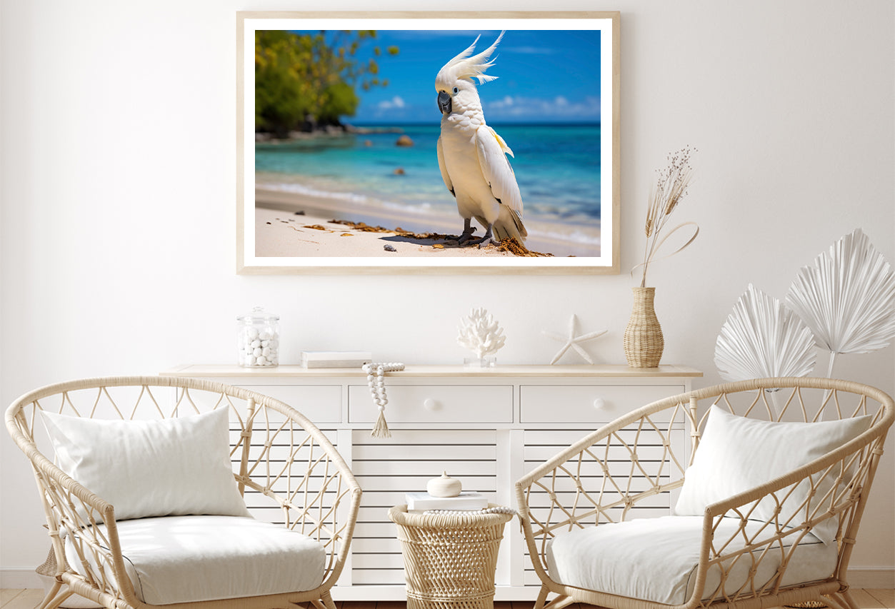 White Cockatoo Bird in Seashore Home Decor Premium Quality Poster Print Choose Your Sizes