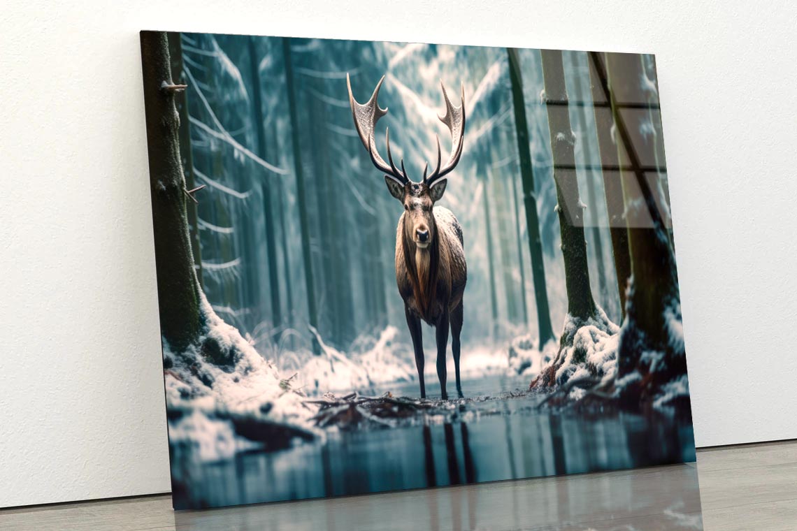 Moose In the Snow Forest  Acrylic Glass Print Tempered Glass Wall Art 100% Made in Australia Ready to Hang - Bella Home Decor