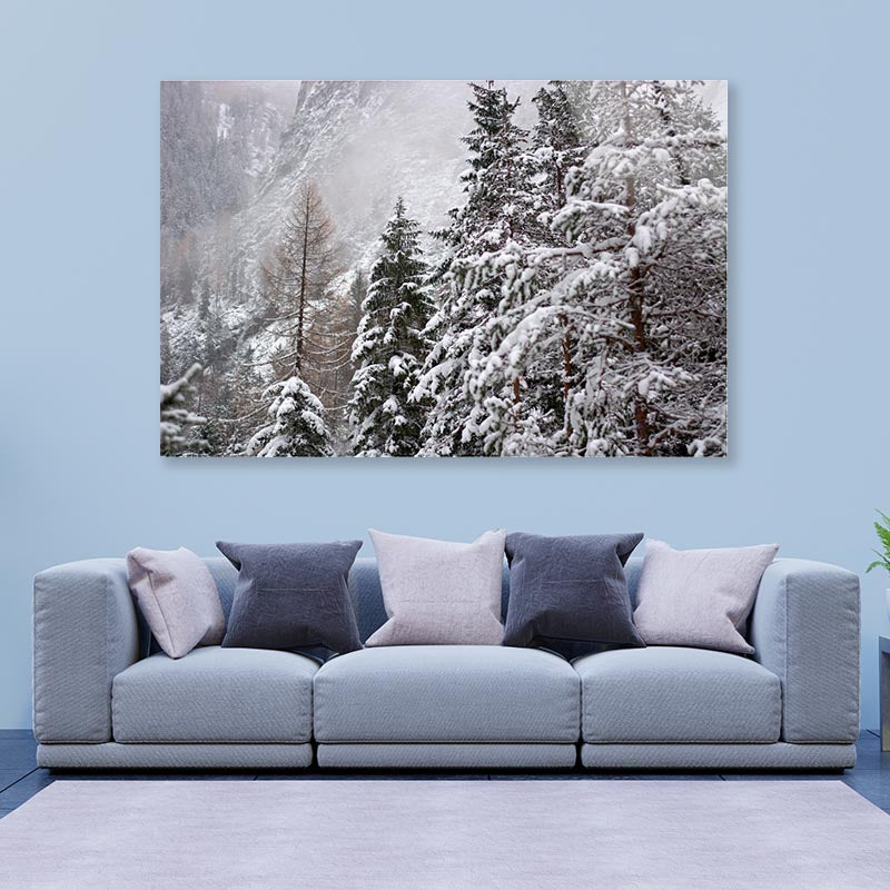 The First Big Snowfall of the winter Acrylic Glass Print Tempered Glass Wall Art 100% Made in Australia Ready to Hang