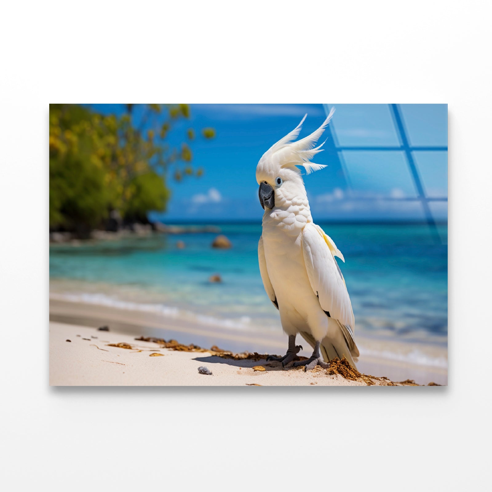 White Cockatoo Bird in Seashore Acrylic Glass Print Tempered Glass Wall Art 100% Made in Australia Ready to Hang - Bella Home Decor