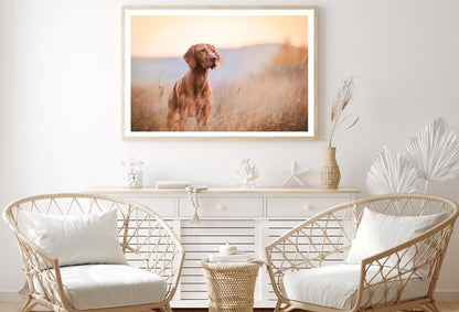 Hungarian Hound Pointer Vizsla Dog Home Decor Premium Quality Poster Print Choose Your Sizes