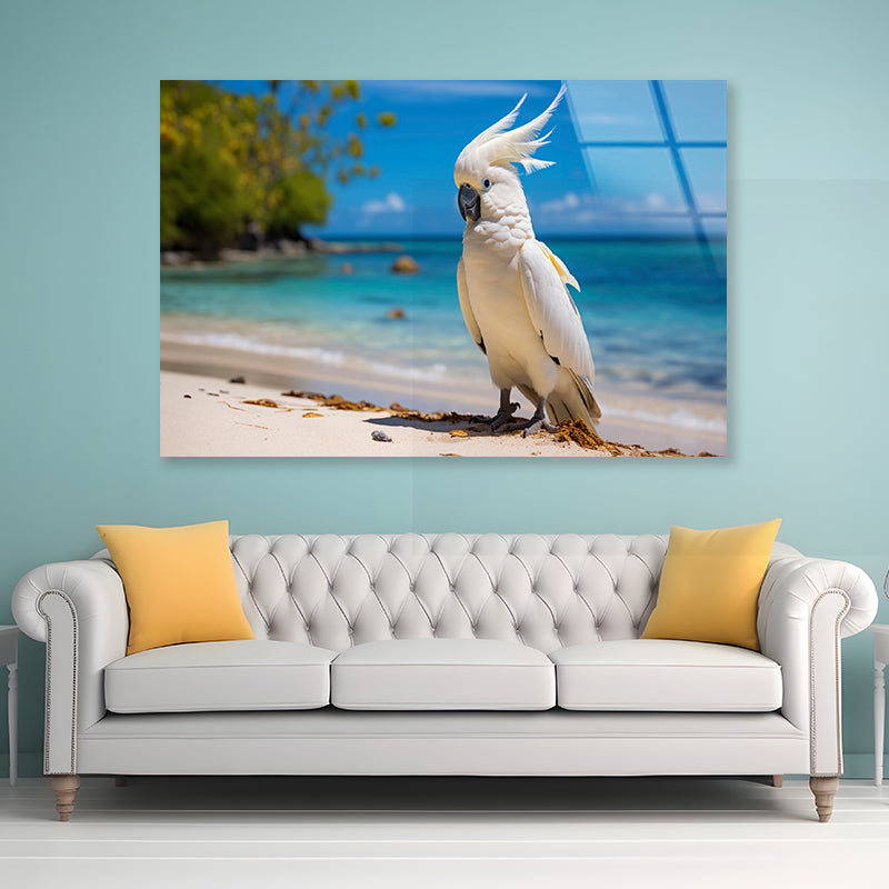 White Cockatoo Bird in Seashore Acrylic Glass Print Tempered Glass Wall Art 100% Made in Australia Ready to Hang - Bella Home Decor