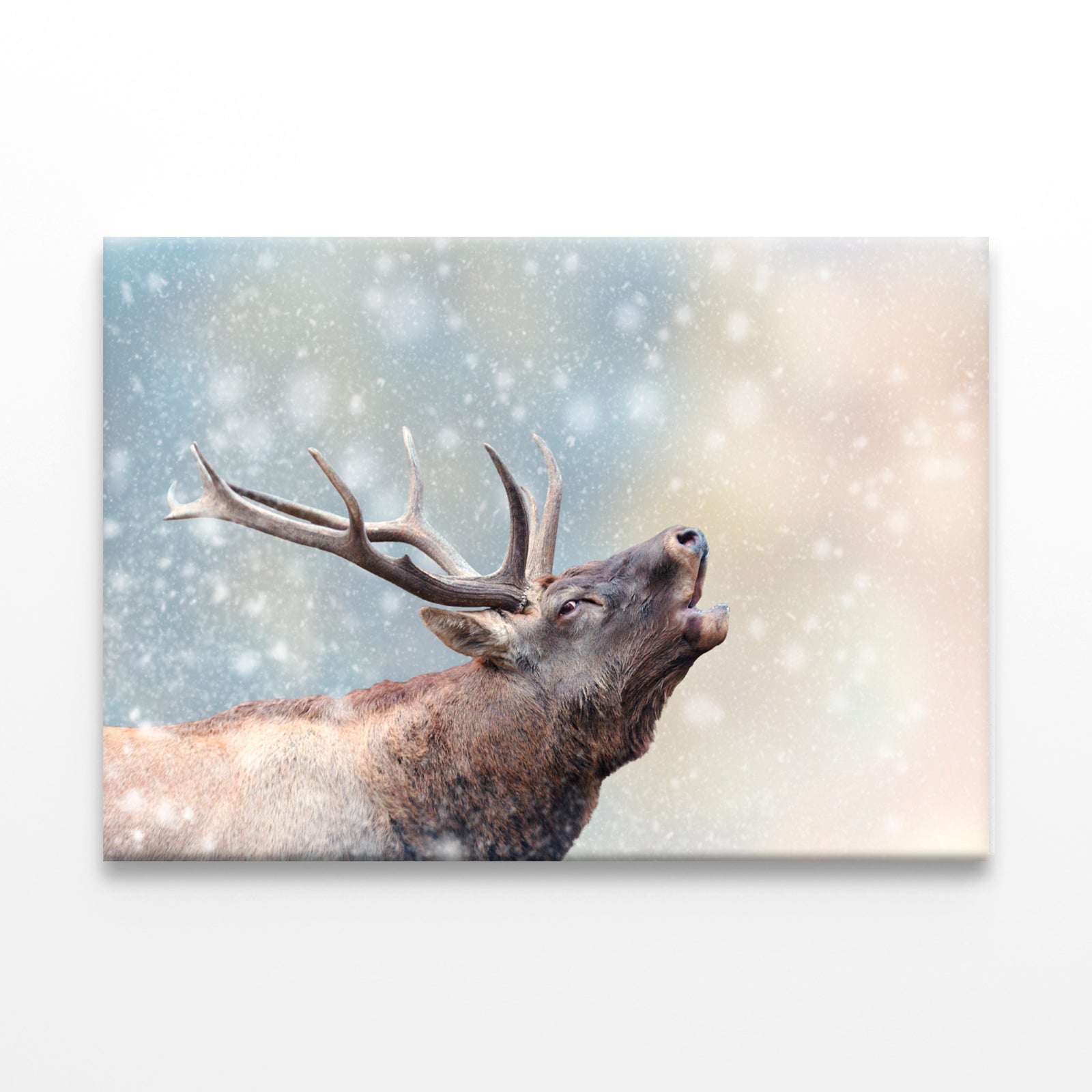 Deer in Snow Winter Wonderland Wall Art Decor 100% Australian Made - Bella Home Decor