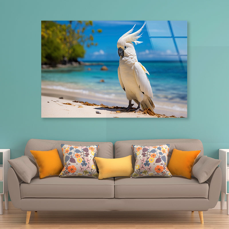 White Cockatoo Bird in Seashore Acrylic Glass Print Tempered Glass Wall Art 100% Made in Australia Ready to Hang - Bella Home Decor