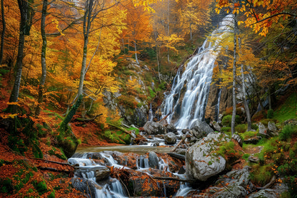 Waterfall in a Forest with Trees Home Decor Premium Quality Poster Print Choose Your Sizes - Bella Home Decor