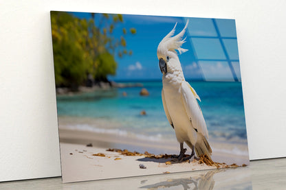 White Cockatoo Bird in Seashore Acrylic Glass Print Tempered Glass Wall Art 100% Made in Australia Ready to Hang - Bella Home Decor