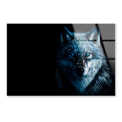 Wolf With Blue Eyes in The Dark Acrylic Glass Print Tempered Glass Wall Art 100% Made in Australia Ready to Hang