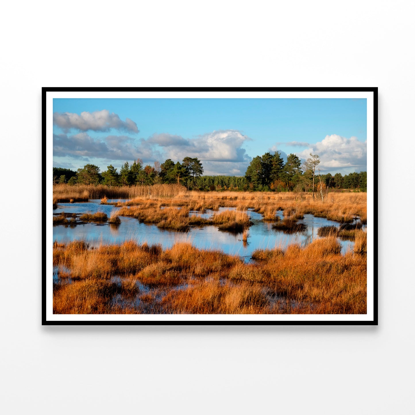 The Wetlands in the Evening Winter Sun Home Decor Premium Quality Poster Print Choose Your Sizes