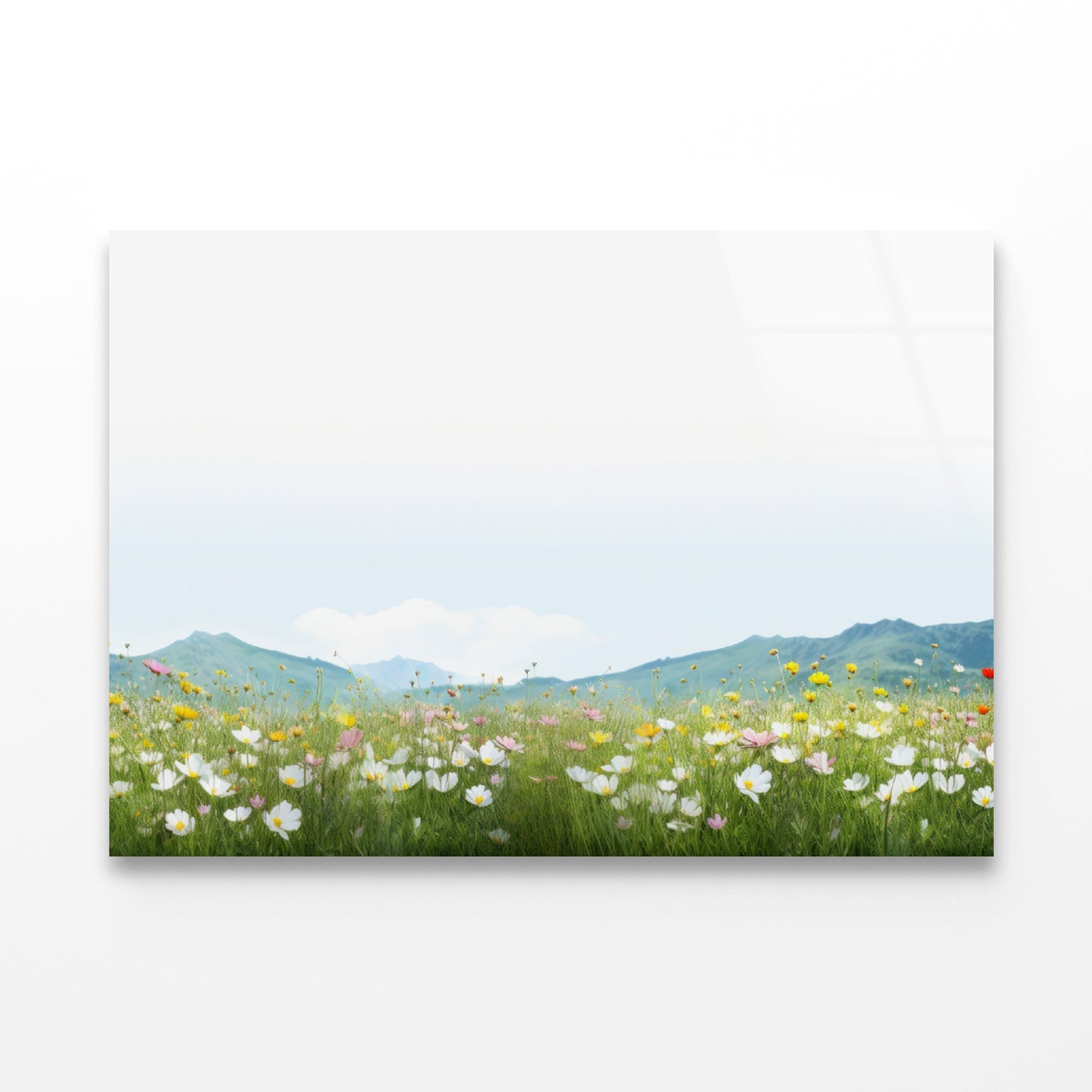 Flower Meadow Grassland with Mountains Acrylic Glass Print Tempered Glass Wall Art 100% Made in Australia Ready to Hang