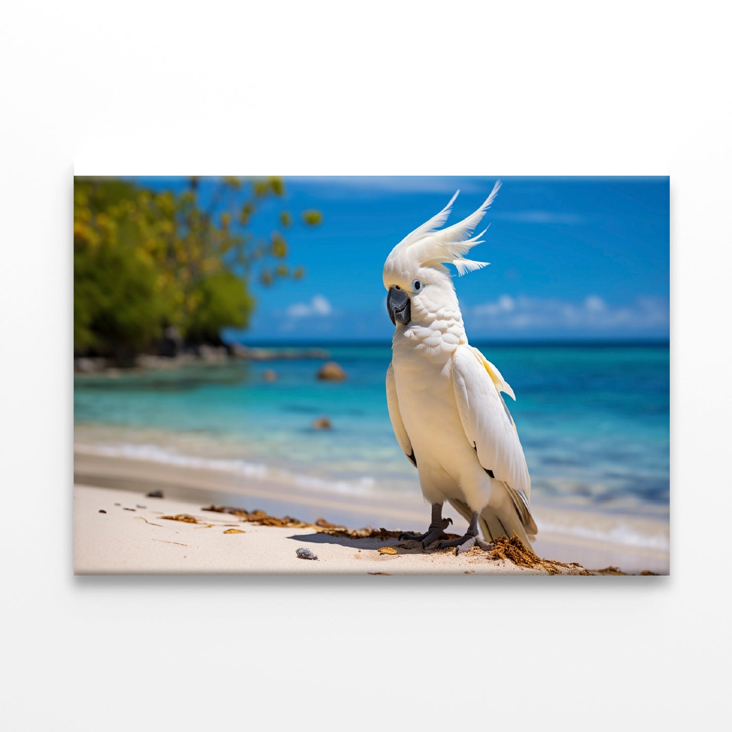 White Cockatoo Bird in Seashore Print 100% Australian Made - Bella Home Decor