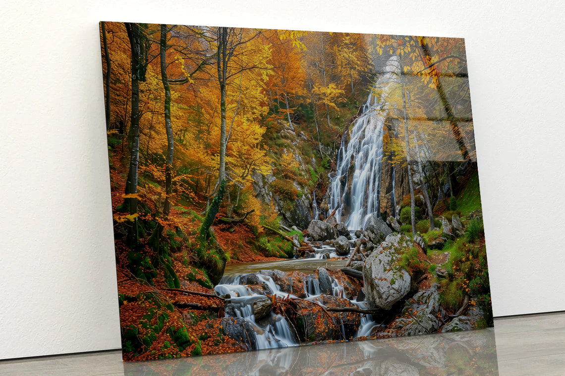 Waterfall in a Forest with Trees Acrylic Glass Print Tempered Glass Wall Art 100% Made in Australia Ready to Hang - Bella Home Decor