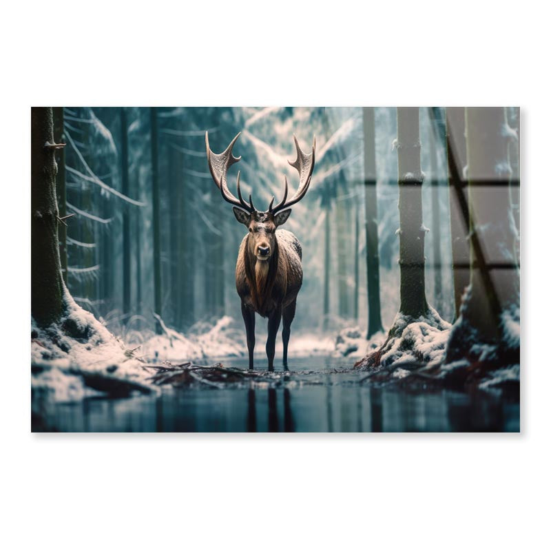 Moose In the Snow Forest  Acrylic Glass Print Tempered Glass Wall Art 100% Made in Australia Ready to Hang - Bella Home Decor