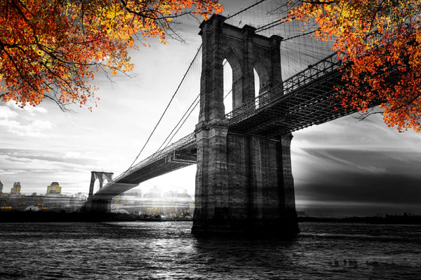 B&W Bridge & Autumn Tree View Photograph 90x60cm Print 100% Australian Made