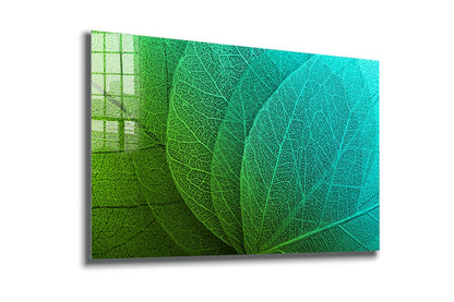 Green Xray Leaves View UV Direct Aluminum Print Australian Made Quality