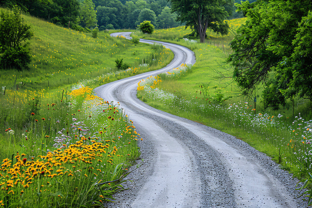 Road with Flowers & Trees Print 100% Australian Made - Bella Home Decor