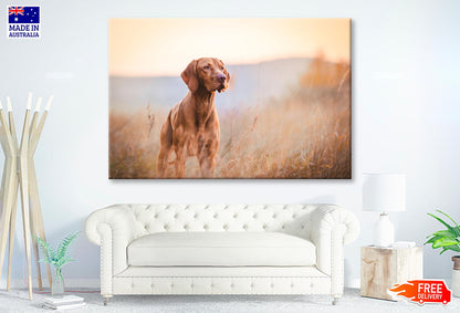 Hungarian Hound Pointer Vizsla Dog Wall Art Decor 100% Australian Made - Bella Home Decor