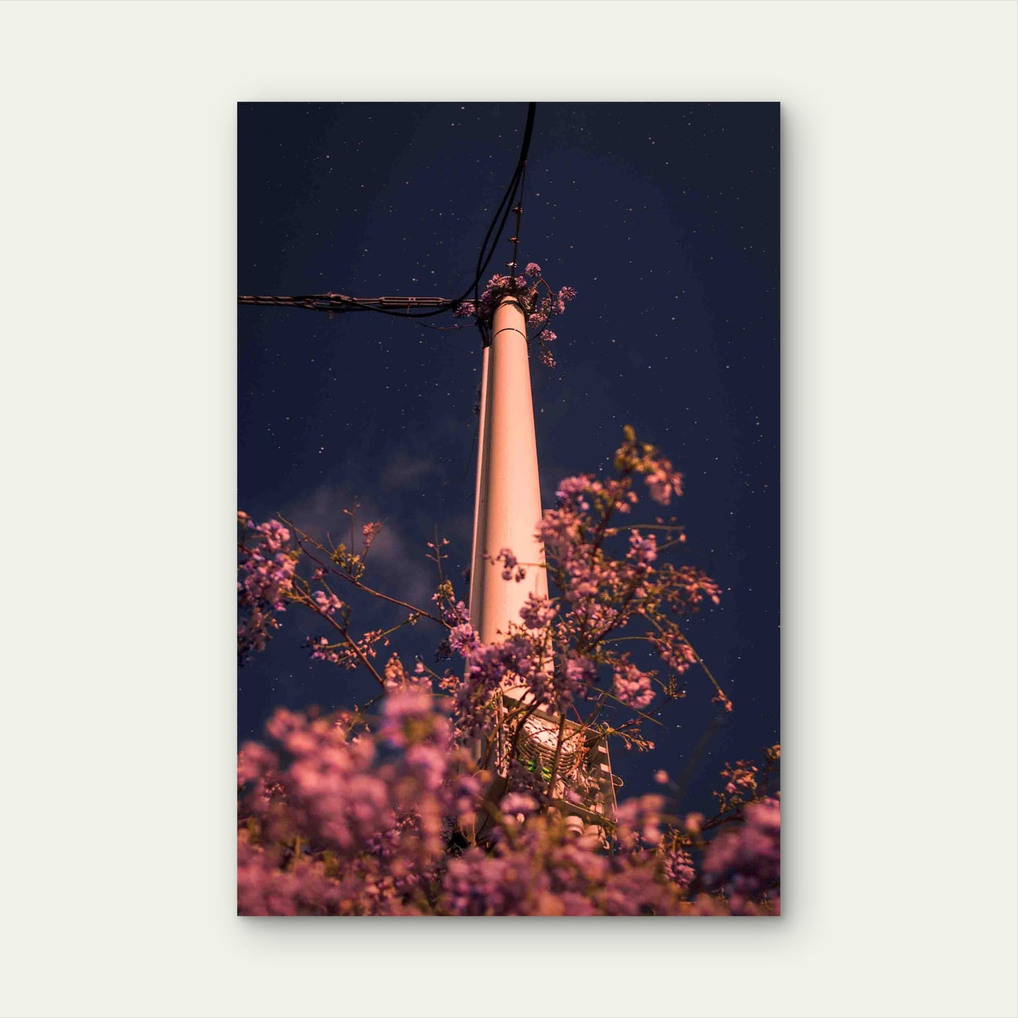 Cherry Blossoms Pole Against a Star-Filled Sky Metal Print Ready to Hang