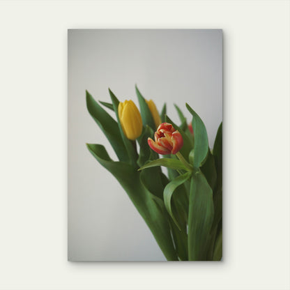 Bouquet Of Tulips 40x60cm Metal Print Ready to Hang
