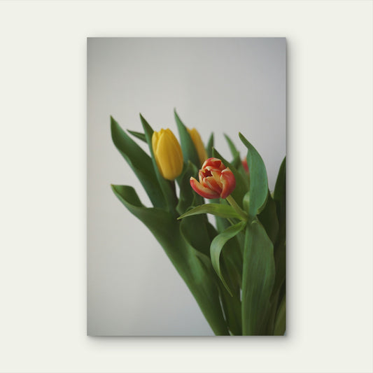 Bouquet Of Tulips 60x90cm Metal Print Ready to Hang