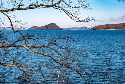 View of a Tree with a Lake & Mountains Home Decor Premium Quality Poster Print Choose Your Sizes