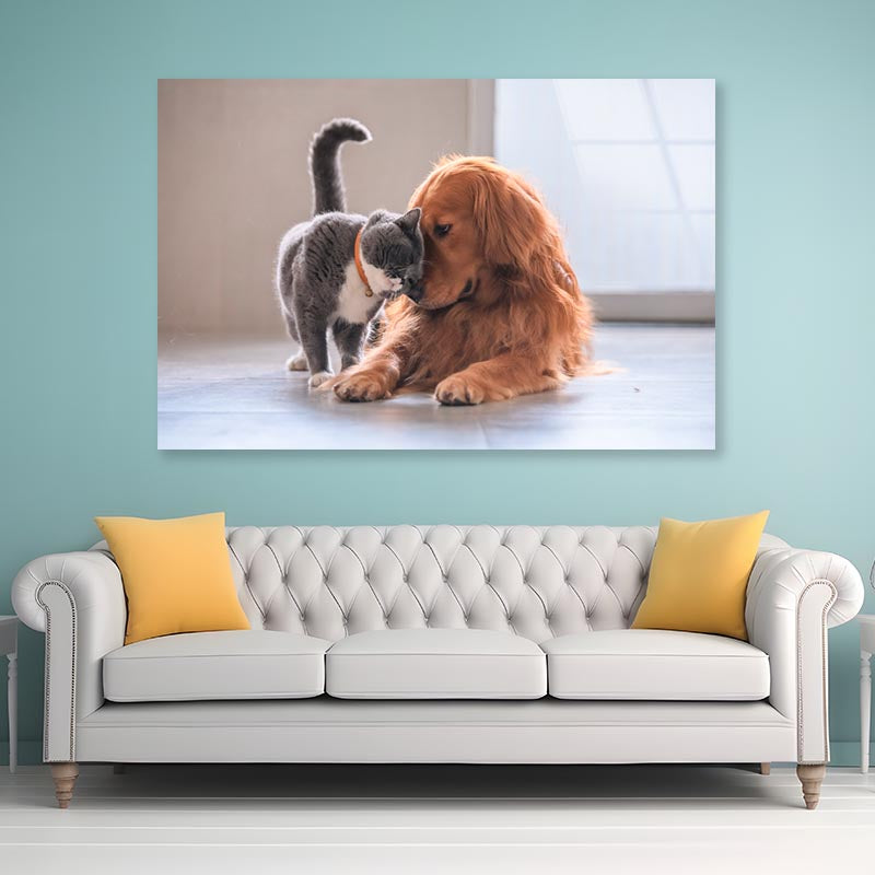 British Short Hair Cat and Golden Retriever Acrylic Glass Print Tempered Glass Wall Art 100% Made in Australia Ready to Hang