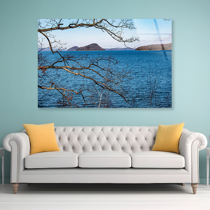 View of a Tree with a Lake & Mountains Acrylic Glass Print Tempered Glass Wall Art 100% Made in Australia Ready to Hang