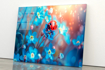 Ladybug Perched on A Vibrant Flower  Acrylic Glass Print Tempered Glass Wall Art 100% Made in Australia Ready to Hang