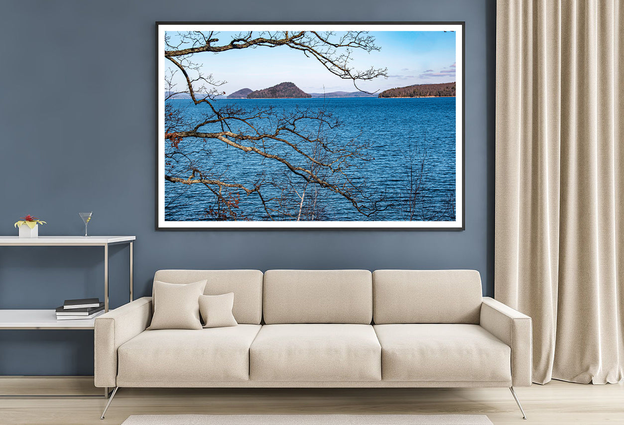 View of a Tree with a Lake & Mountains Home Decor Premium Quality Poster Print Choose Your Sizes