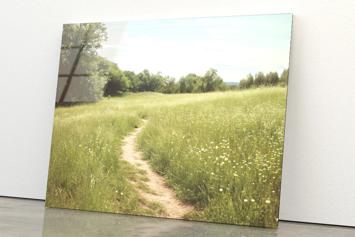 Walking Path through Meadow Grassland with Trees Acrylic Glass Print Tempered Glass Wall Art 100% Made in Australia Ready to Hang