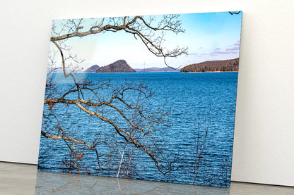 View of a Tree with a Lake & Mountains Acrylic Glass Print Tempered Glass Wall Art 100% Made in Australia Ready to Hang