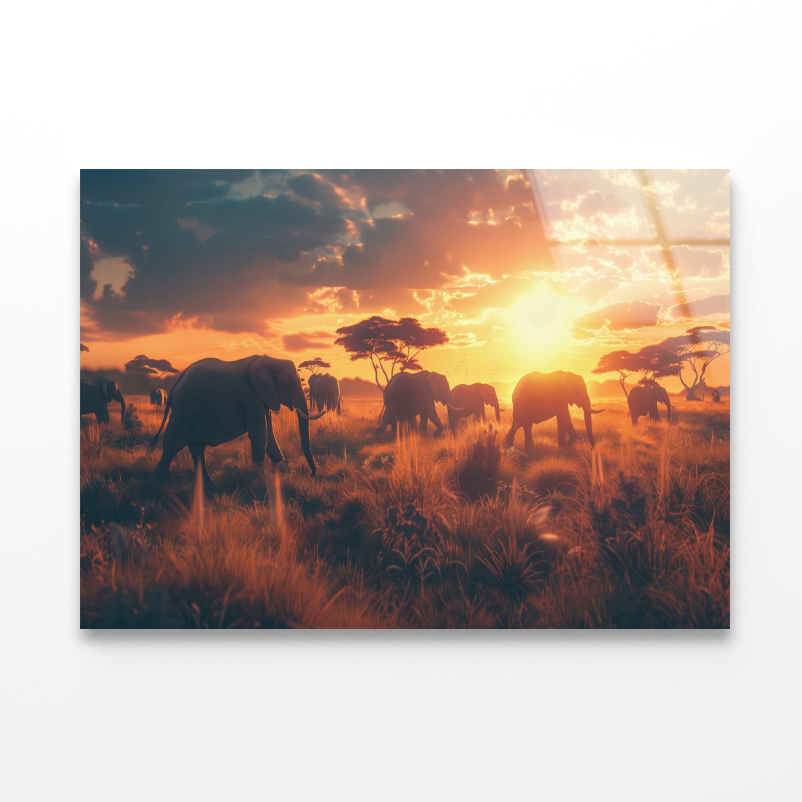 Herd of Elephants Walking Acrylic Glass Print Tempered Glass Wall Art 100% Made in Australia Ready to Hang - Bella Home Decor