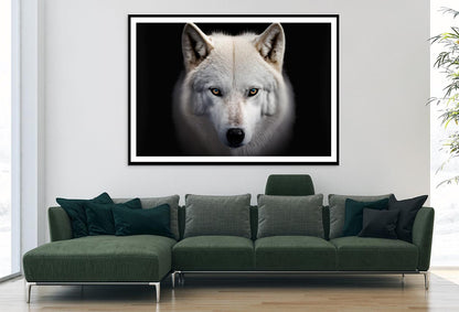 White Wolf with Blue Eyes Looking at The Camera Home Decor Premium Quality Poster Print Choose Your Sizes