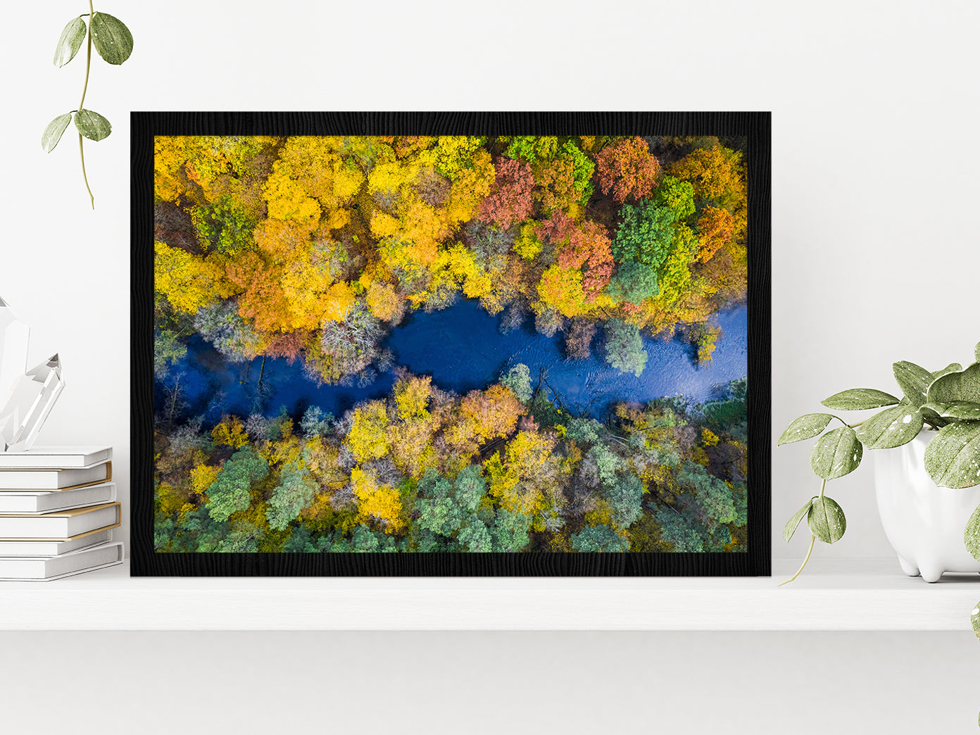 Autumn Forest & River Top View Glass Framed Wall Art, Ready to Hang Quality Print Without White Border Black