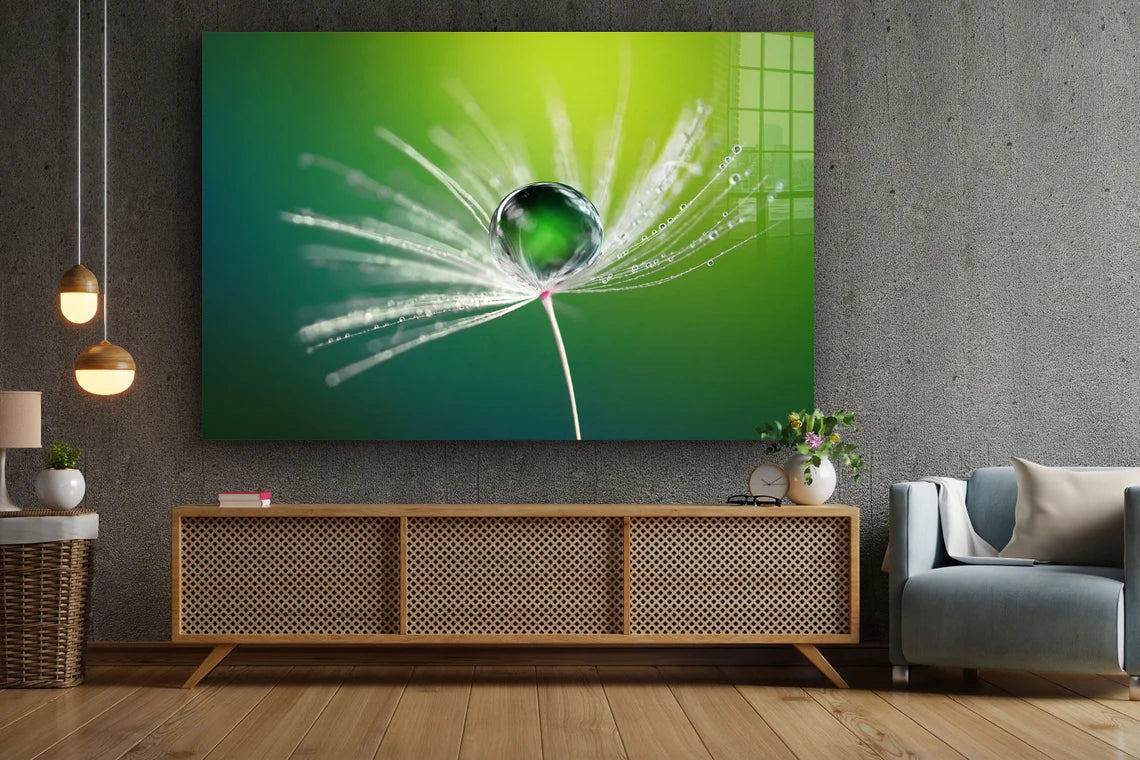 Dandelion Droplet View UV Direct Aluminum Print Australian Made Quality